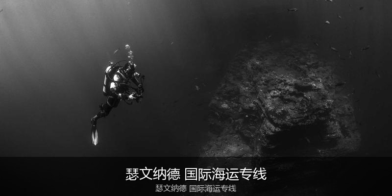 2024年中国到澳大利亚海运价格走势分析