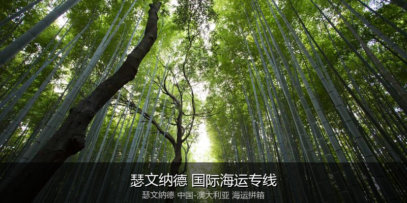澳大利亚海运专线时效对比与选择指南