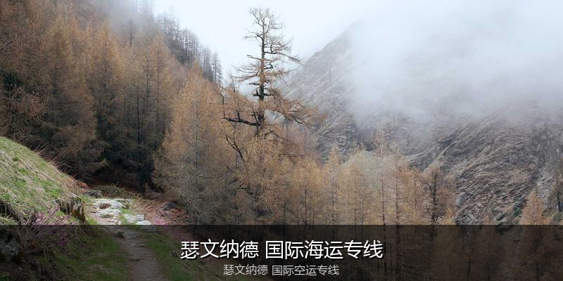 中国出口澳大利亚海运清关全攻略