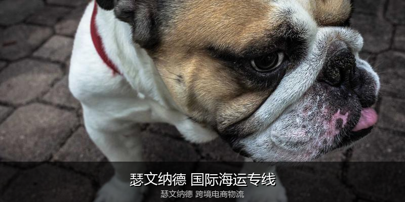 澳大利亚主要港口海运服务对比